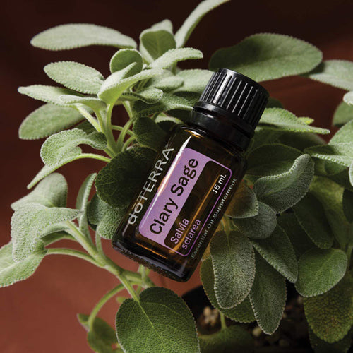 PRODUCTO DEL MES. ‘Clary Sage’, el aceite de la claridad & la visión