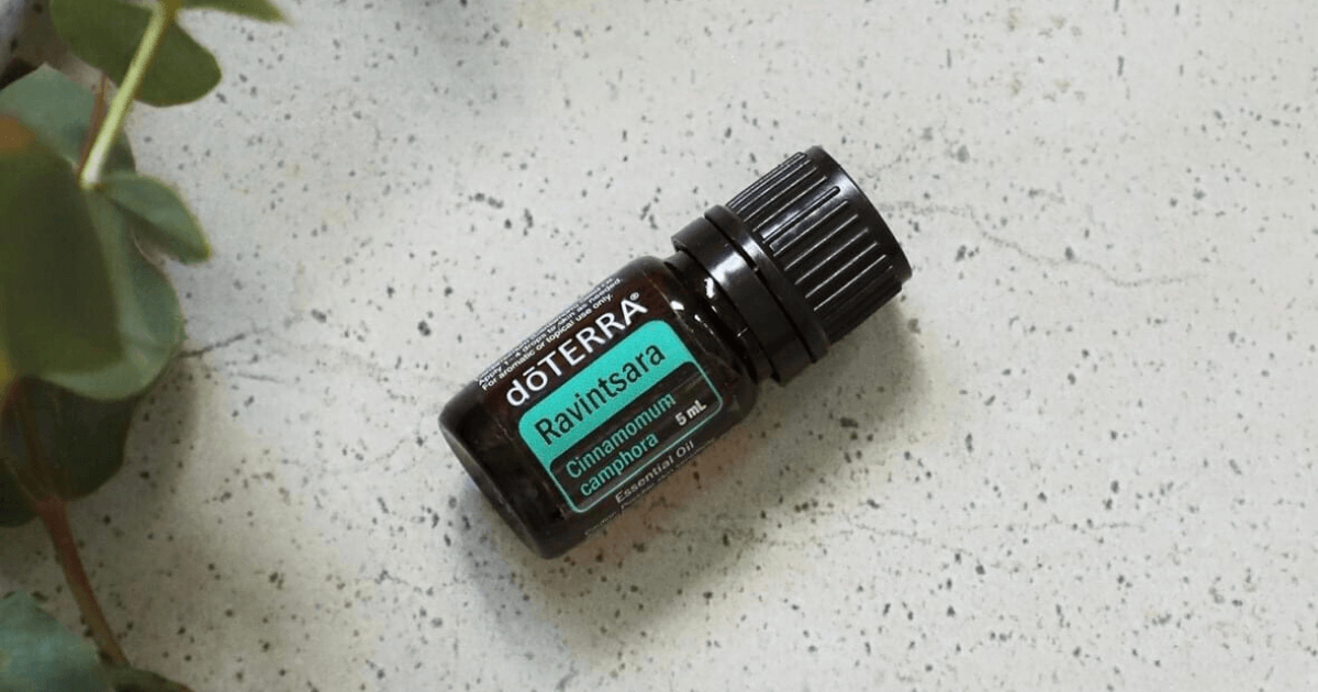 PRODUCTO DEL MES. ‘Ravintsara’, la versión más ligera del eucalipto