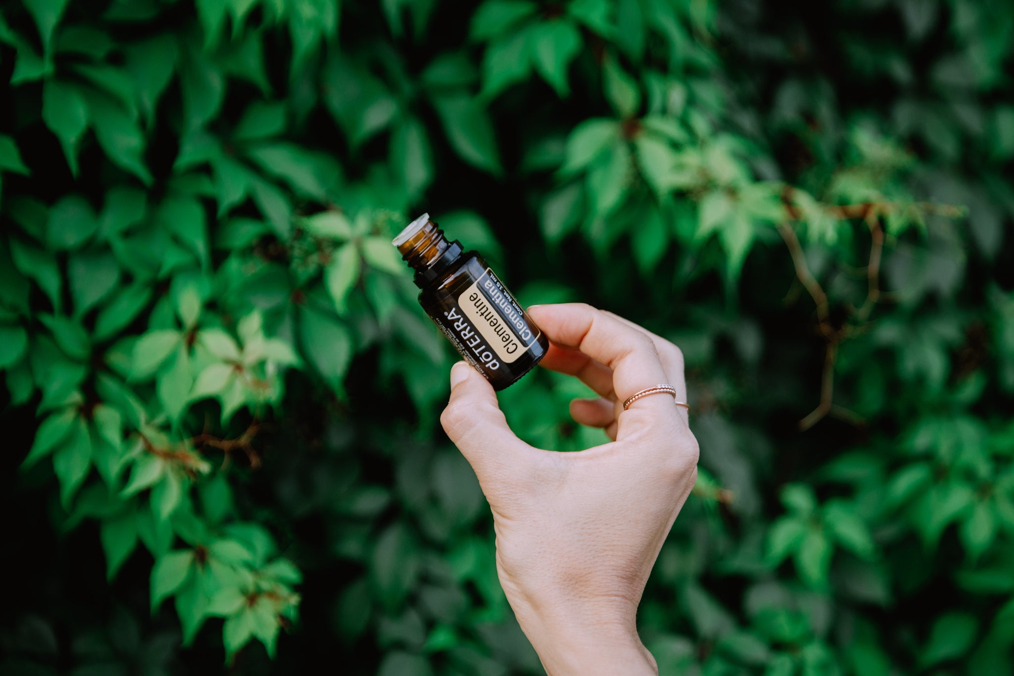 PRODUCTO DEL MES. ‘Clementine’, el cítrico que despierta tu lado espontáneo