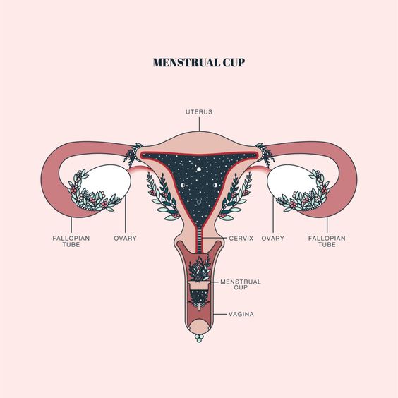 Lo que los aceites esenciales hacen por nosotras. PARTE 2. Female Supplies